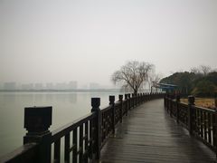 -长广溪湿地公园