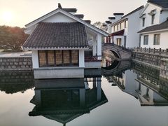 -上海共青森林公园