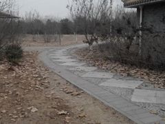 android_upload_pic-桃苑郊野公园