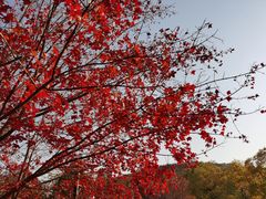 -香山公园