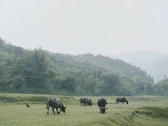-怪咖·joker陈楠