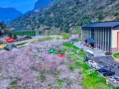 -高岚大峡谷旅游度假区