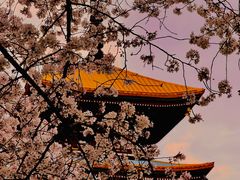 -东湖磨山景区