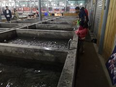 -阔澜蒸汽海鲜自助