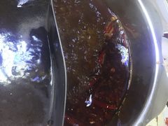 -川西坝子(老军营店)