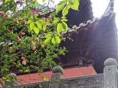 -荆州博物馆