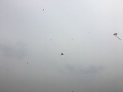 -钟山体育运动公园