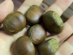 -小叶佳栗子(昌平店)