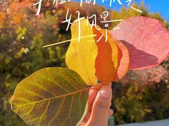 -周口店坡峰岭风景区