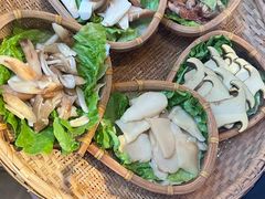 -滇野云南野生菌餐厅(陕西南路店)