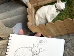 -青沐画室·专业美术培训