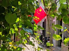 -荔湾湖公园