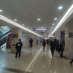 -复旦大学附属妇产科医院(杨浦院区)