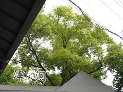 -渣滓洞