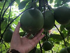 -西岭雪山大飞水景区