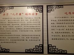 -九斤黄三黄鸡专卖店