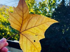 -中央广播电视总台(光华路办公区)