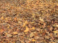 -白塘生态植物园