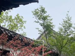 -皮市街大油火烧