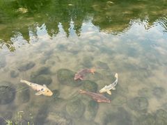 -成都杜甫草堂博物馆