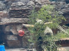 -石家庄市动物园