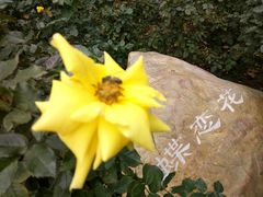 -人民公园(罗湖区)