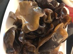 -乳仔牛牦牛汤锅 烤羊排(松潘古城店)