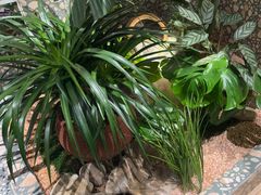 -相遇·川湘融合菜(丹阳吾悦广场店)