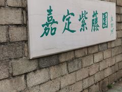 -嘉定紫藤园
