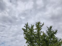 -黄兴公园