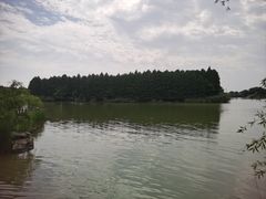 -苏州太湖国家湿地公园