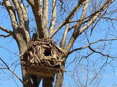 -北京西山国家森林公园