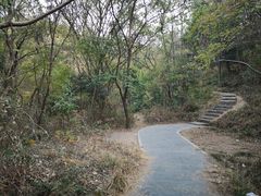 -青龙山国家森林公园