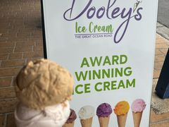 -Dooley's Premium Ice Cream