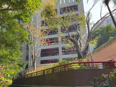 -香港大学