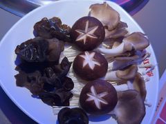 -季季红火锅(动壹店)