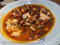 川椒麻辣鱼-丁记盐蘸牛肉·新杭菜(河东路店)