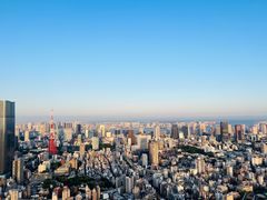 -六本木新城展望台(东京城市景观)