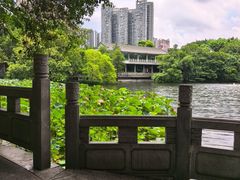-荔湾湖公园