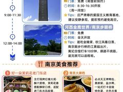 -好一朵茉莉花(老门东店)
