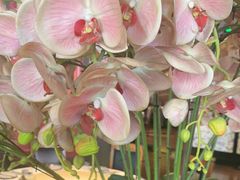 -八府香鸭·啫啫煲(华山路店)