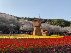 -苏州上方山国家森林公园