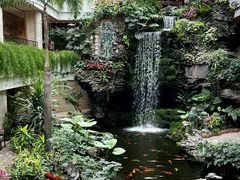 -白天鹅宾馆-宏图府餐厅