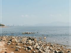 -福田红树林生态公园