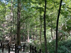 -国家植物园南园