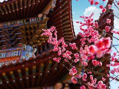 -皇罗禅寺