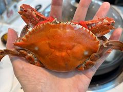 -半岛听涛蒸汽海鲜自助(K11店)