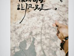 -桃花堤公园