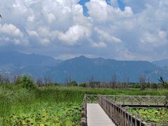 -野鸭湖国家湿地公园