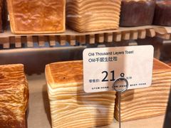 -岭南站NOVA